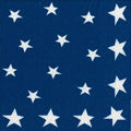4th of July Party Supplies Paper Plates Luncheon Size Flag Stars and Stripes 16 Count 7 inch Square - Decorative Things