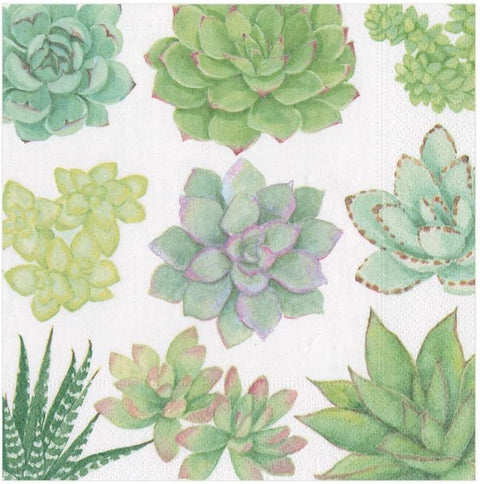 Caspari Succulents Paper Luncheon Napkins - 40 Count - Decorative Things