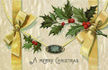 Christmas Placemats Paper Placemats for Dining Tables Disposable Christmas Table Party Holly - Decorative Things